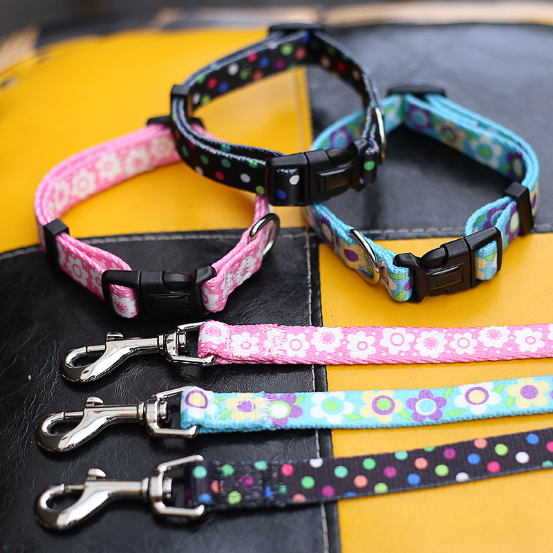 Fashionable Nylon Buckle Dog Collar S M L Breakaway Cat Collars Customized