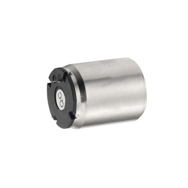 Faradyi Customized Specification 3V 6V 12V 16mm Brushed Coreless DC Motor For