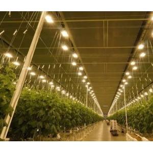 Customized Request Juxiang Tomato Cucumber Lettuce Structure Illuminating