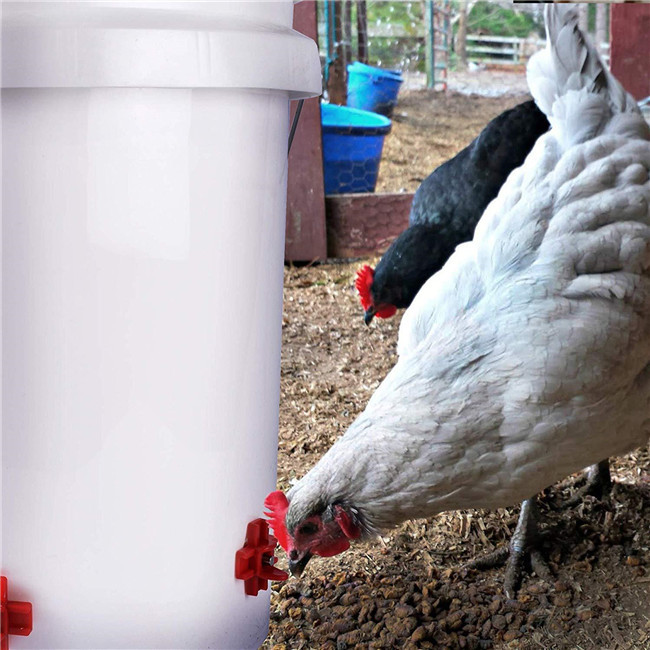 Cnc Auto Horizontal Poultry Nipples Impermeable Horizontal Side Mount Chicken Waterer