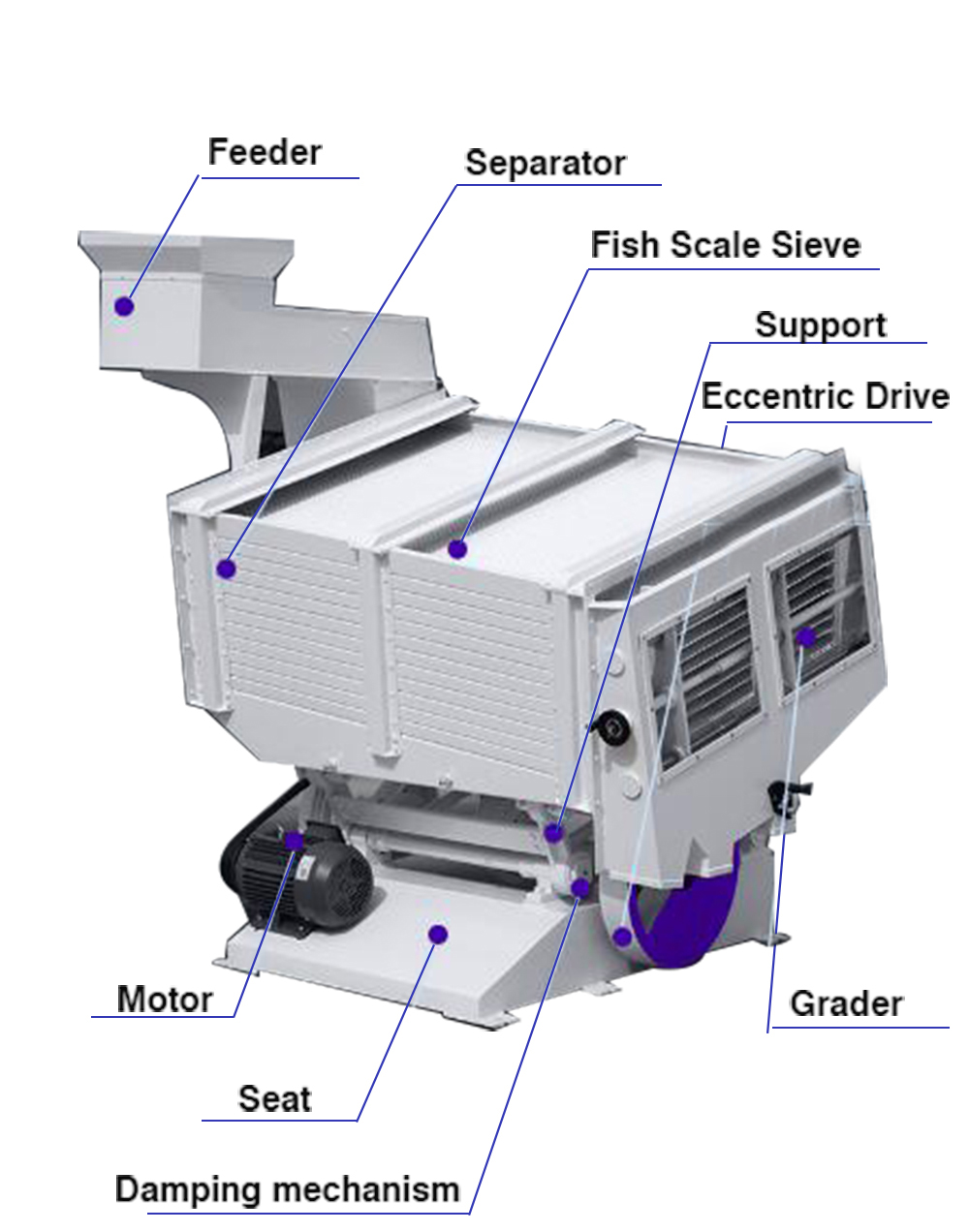 Paddy Separator Machine MGCZ100*8 for Rice Husk Separation in Local Service Location