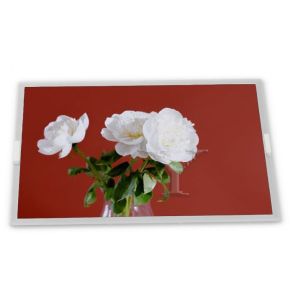 China 5 Inch 800*480 A-Si TFT-LCD GV050WVM-NS0 Industrial Control  Lcd Module on sale