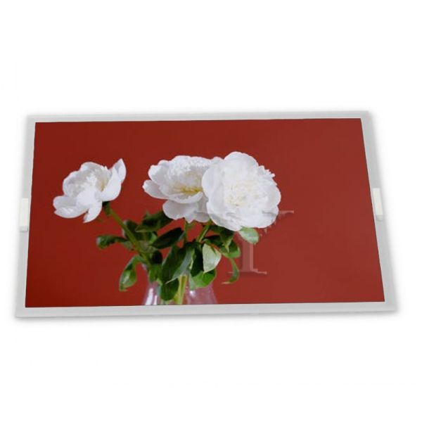 ODM 17.0-Inch WLED LCD Display Module G170EG01 V1 1280*1024 Resolution for New