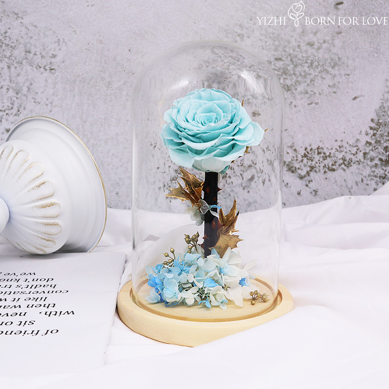 14*14*22CM Preserved Rose Glass Dome