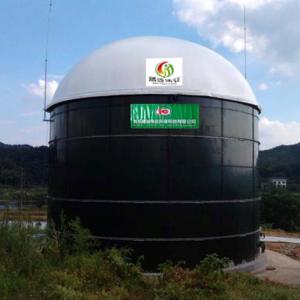 China Food Waste Small Biogas Balloon Biogas To CNG Conversion Plant on sale
