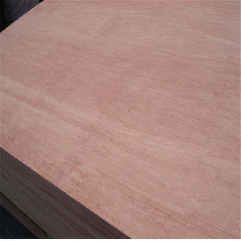 Hotel Bintangor Back 610*2440mm Green Panel Plywood