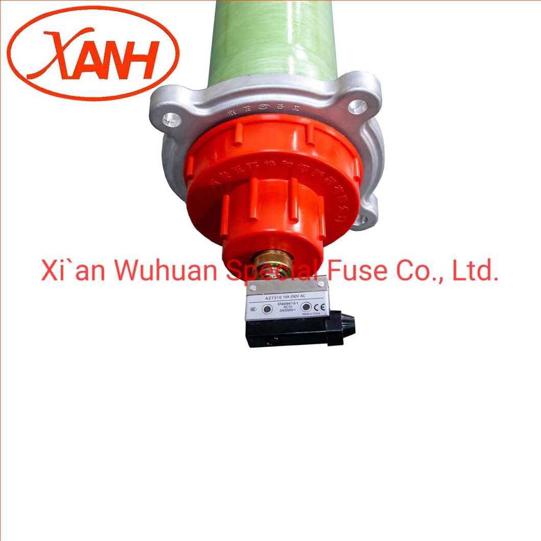 Xrnt-40.5q Current Limiting Fuse For Protection Of Transformer Of Wind Power Station