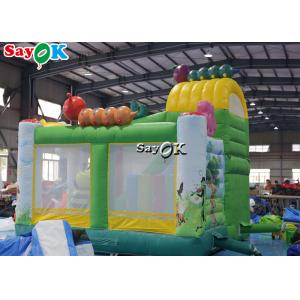 Insect Print Themed Inflatable Bounce Trampoline House With Slide
