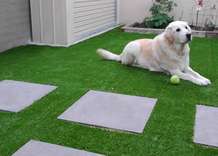 35mm Pile Height 9600 Dtex Landscape Artificial Grass For Sports Events And Outdoor Activities