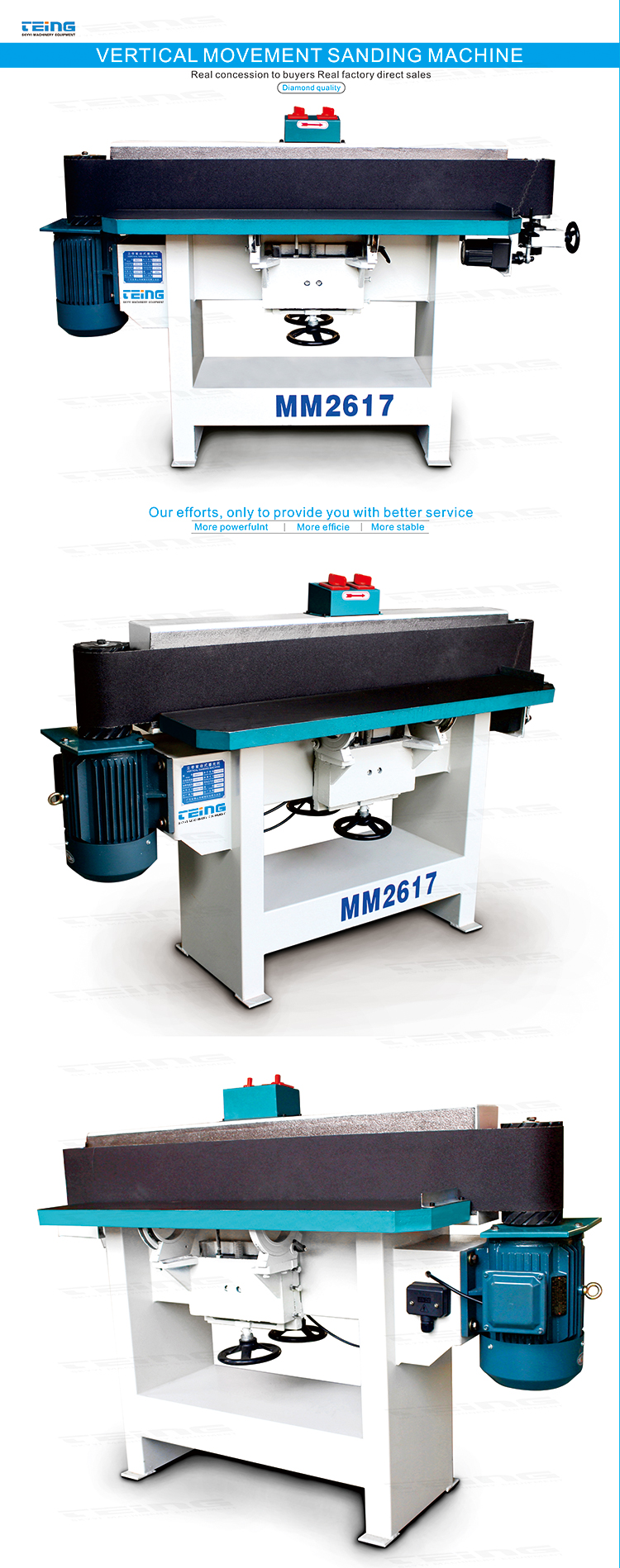 1200mm Max Processing Length Mini Sanding Machine for Woodworking from TEING MM2617