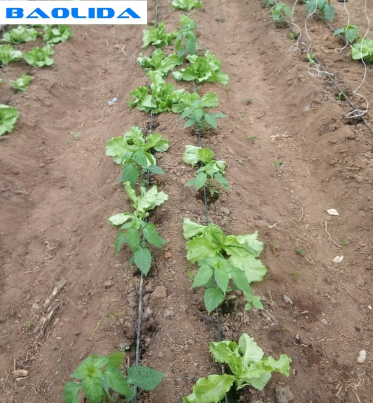 Agricultural Drip Irrigation Pipe Tape Systems For Farm High Efficient