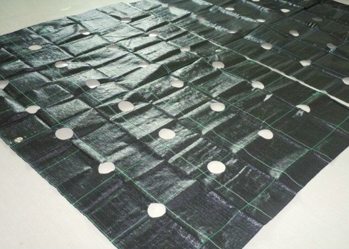 Tear - Resistant Garden Weed Control Fabric For Landscaped Beds 80-160gsm