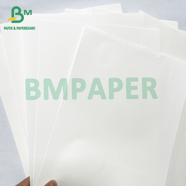 50lb Uncoated High Whiteness Offset Printing Text Book Paper Rell