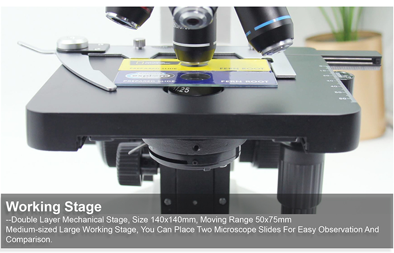 Laboratory Compound Xsz 107bn 1600x Biological Microscope