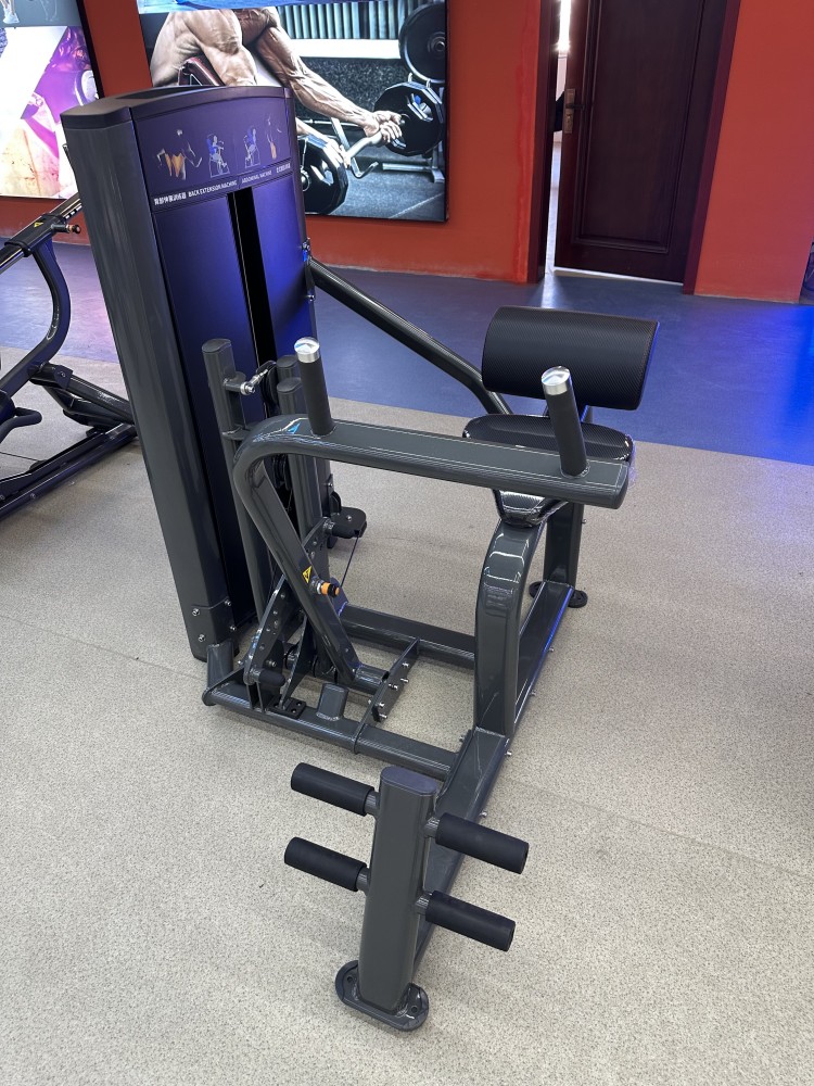 Dual Functional Strength Equipment Back Extension/Abdominal Leg Press Machine Commercial Fitness Gym Pin Loaded Machine