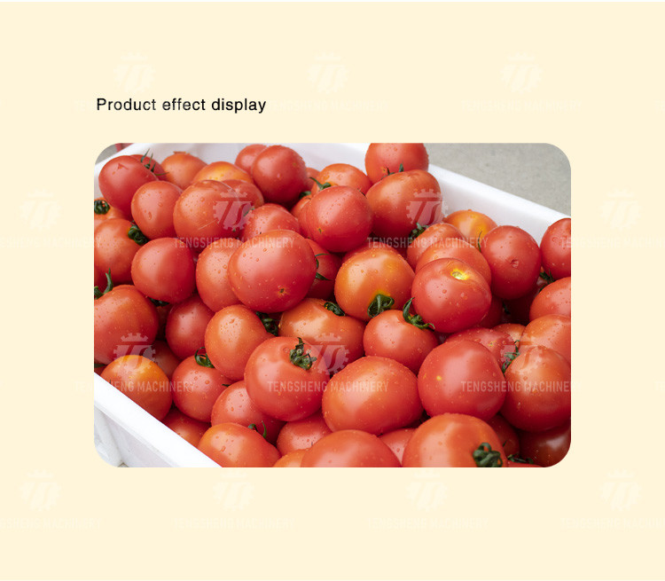 240KG Washing machine Fruit and vegetable washing machine vegetable cleaning equipment product cleaning equipment