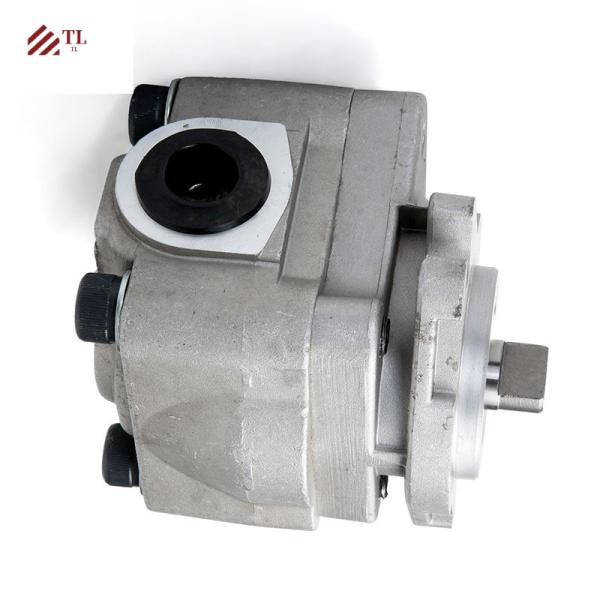 E312C Excavator SBS80 Hydraulic Gear Pump 315 E315 Pilot Pump Parts 1731168 173