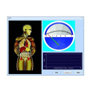 Quantum Bio-Electric Whole Health Analyzer , Quantum Analysis Machine