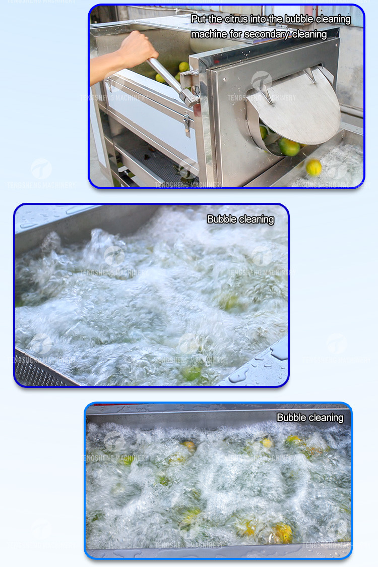 Citrus Stalk Eliminated Lemon Processing Machinery Industrial Air Bubble Brush