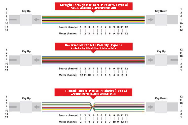 12 Fibers MTP Female To MTP Female OM4 3.0mm LSZH MTP Patch Cord Custom Meters