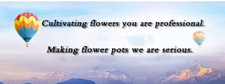 Lightweight 1 Gallon Plastic Flower Pots 18.5cm For Leek Seedling