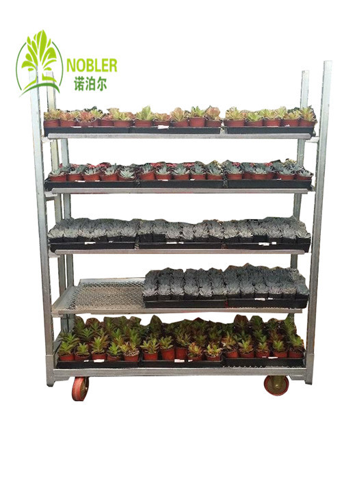 Metal Mesh Dutch Flower Trolley Seedling Cart With PP Wheel