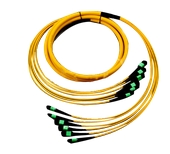 DONGWE MPO 72 Core Patch cord