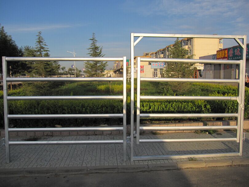 Welded Netting Manufacture Supplier 2x2 Galvanized Cattle Welded Wire Mesh Panel