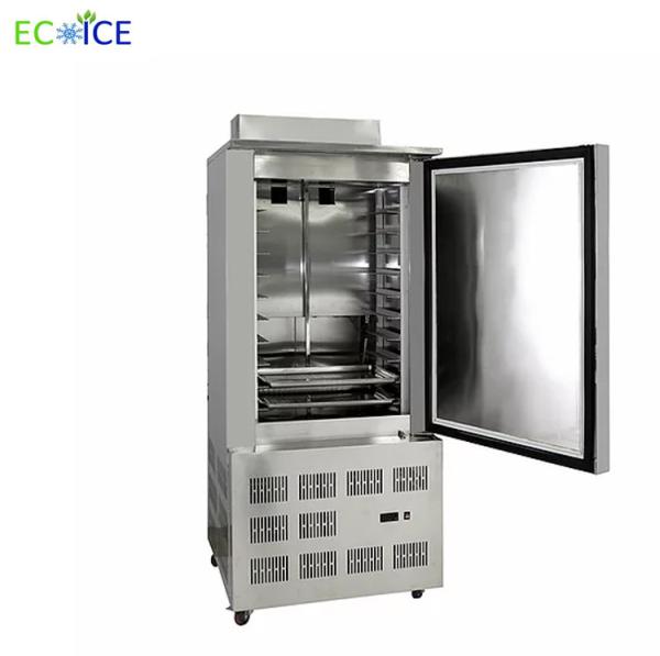 Compact 300L Air Blast Freezer Cold Plate Freezer Deep Freezer Commercial with