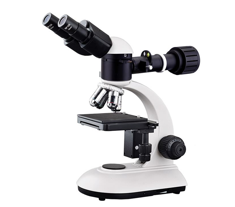 WF10X Eyepiece Binocular Student Optical Microscope ABBE NA1.25 Condenser