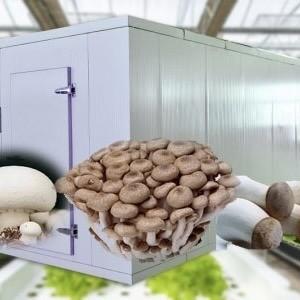 18000.000kg Container House for Growing Green Leafy Veggies Return refunds