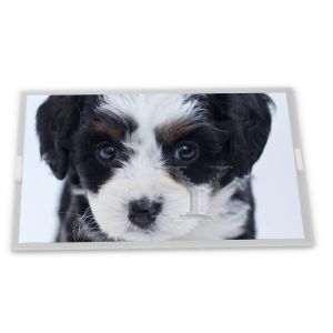 High Quality Original 15.6 Inch NL13676BC25-07F TFT LCD Screen 1366*768