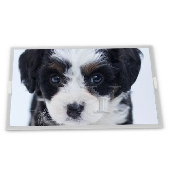 High Quality Original 15.6 Inch NL13676BC25-07F TFT LCD Screen 1366*768