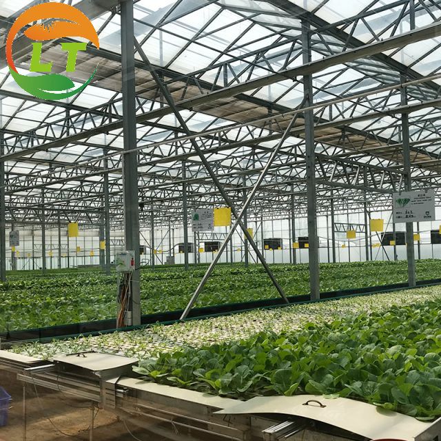 Multi-Span Large Agricultural Greenhouses with Hidroponic System