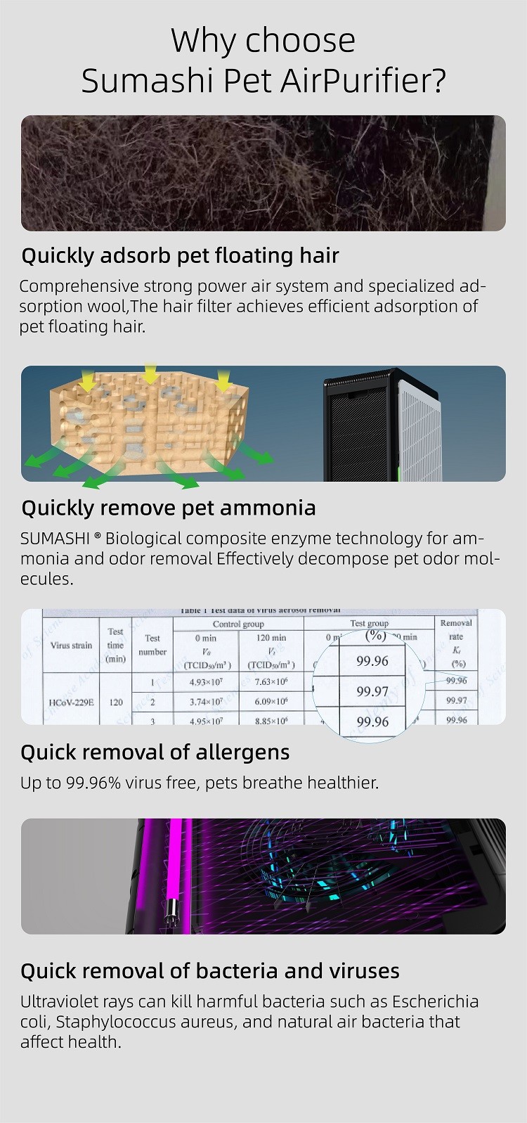 Portable Small WIFI Pet Air Purifier With Active Oxygen Removal Odors