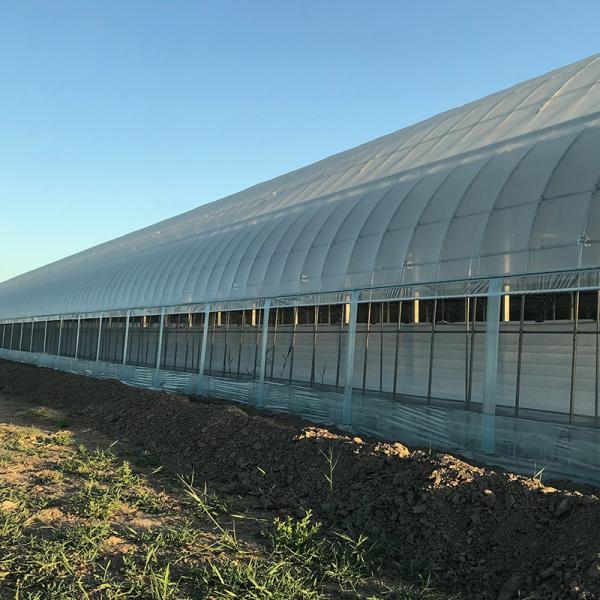 Water Heating System Korean Mode Film Agricultural Greenhouses for Year-Round
