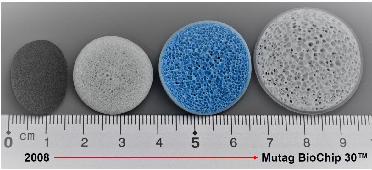 Wear Free Mutag Biochip MBBR 30mm Dia MBBR Filter Media 500L/Hour