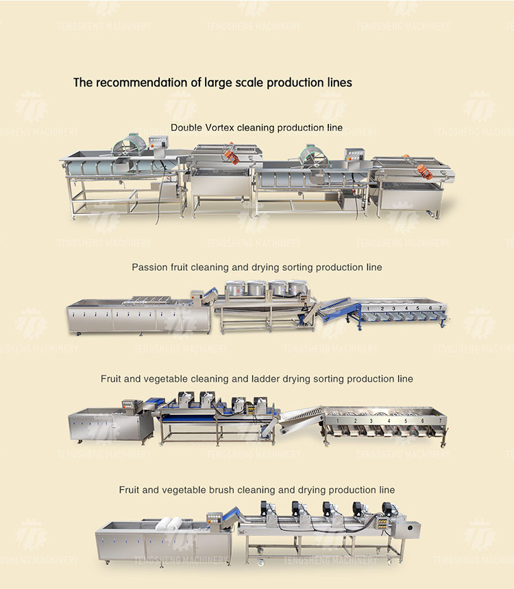 Automatic Vegetable Sorting Machine Selection Table Food Processor