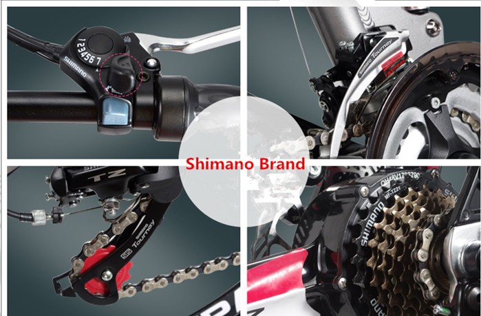 48V 350W Aluminium Alloy Frame Electric Bikes With Hidden Battery And Disc Brake