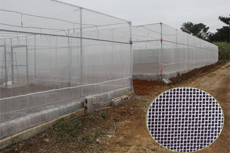Outside Insect Proof Mesh , Insect Mesh Protection Netting For Greenhouse 40 Mesh 16m Width Size