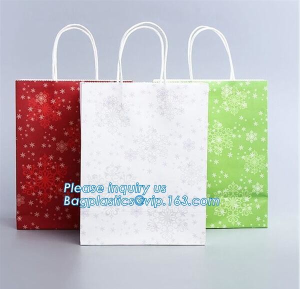 Luxury Paper Gift Carrier Shopping Bag Party Bag with Handles,printed paper carrier bag for apparel shopping bag, bageas