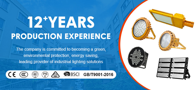 SMD3030 Garden Road Highway LED Street Light High Transmittance