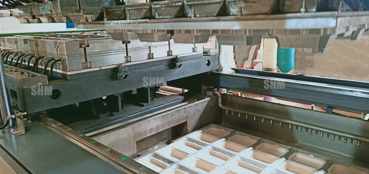 Sustainable Sugarcane Bagasse Pulp Molding Tableware Machine
