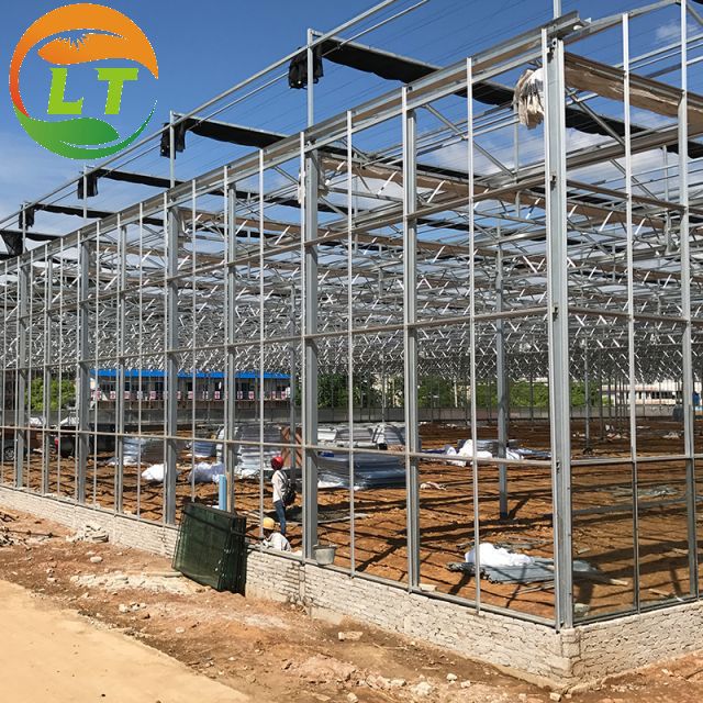 Multi-Span Large Agricultural Greenhouses with Hidroponic System