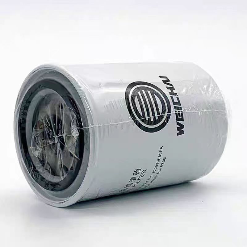 Shacman Car Fitment 1000395855 Steel Diesel Engine Oil Filter Element for Market