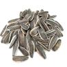 Buy cheap Amazon hot sale Customized Wholesale Export Southeast Asia Delicious 361 from wholesalers