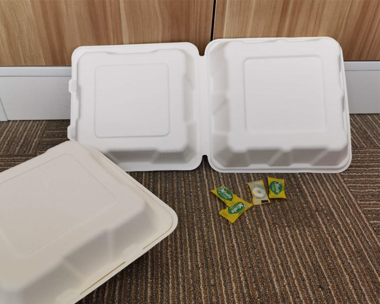 9 Inch Heavy Duty Biodegradable Takeout Containers