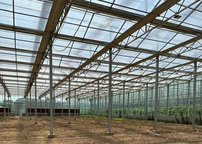 9.6m 10.8m 12m span venlo prefab glass greenhouse indoor for vegetable hydroponic