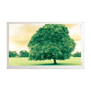  New Original Car GPS Navigation 8.0 inch TFT Hannstar HSD080IDW1-C01 LCD Display Screen Panel Manufactures