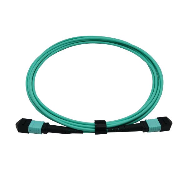 Quality MPO Fiber Optic Patch Cord With 8 Core OM4 Multimode Fiber 0.25dB Insertion Loss for sale